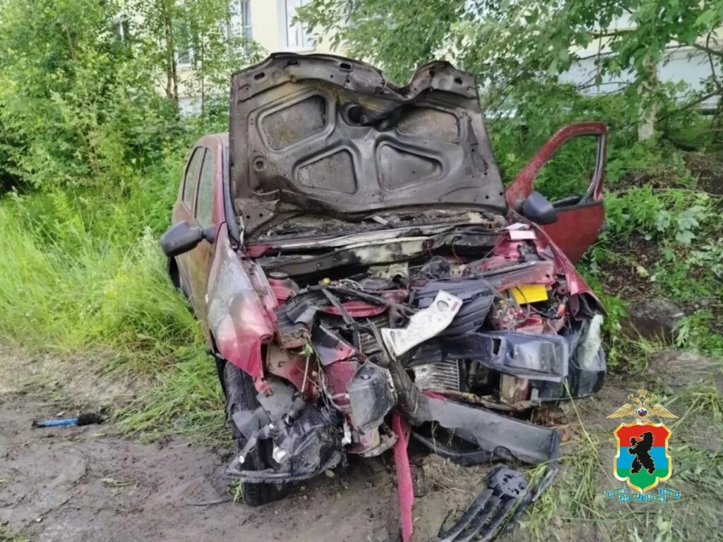 Автомобиль врезался в дерево и загорелся: в ГАИ Карелии сообщили подробности смертельного ДТП