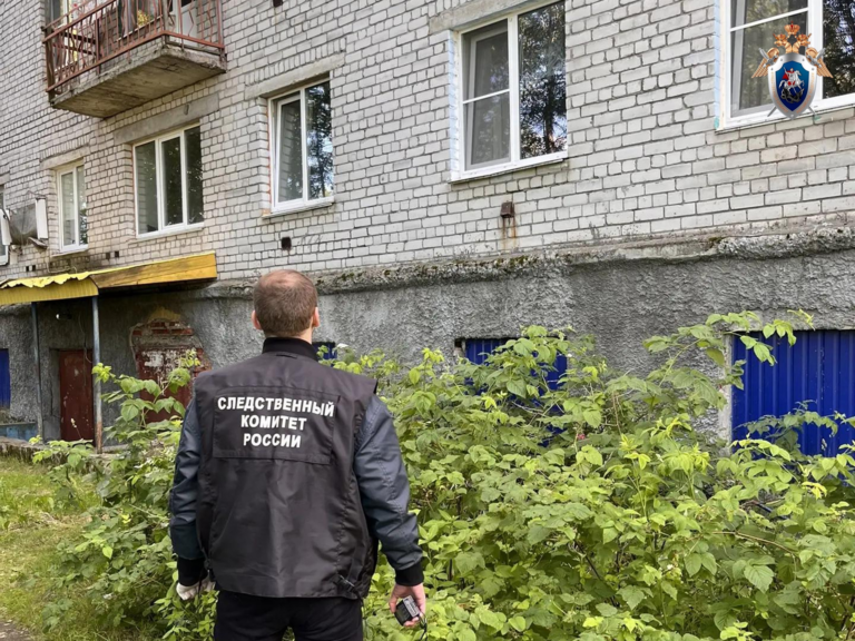 Мужчина погиб, выпав из окна в Карелии