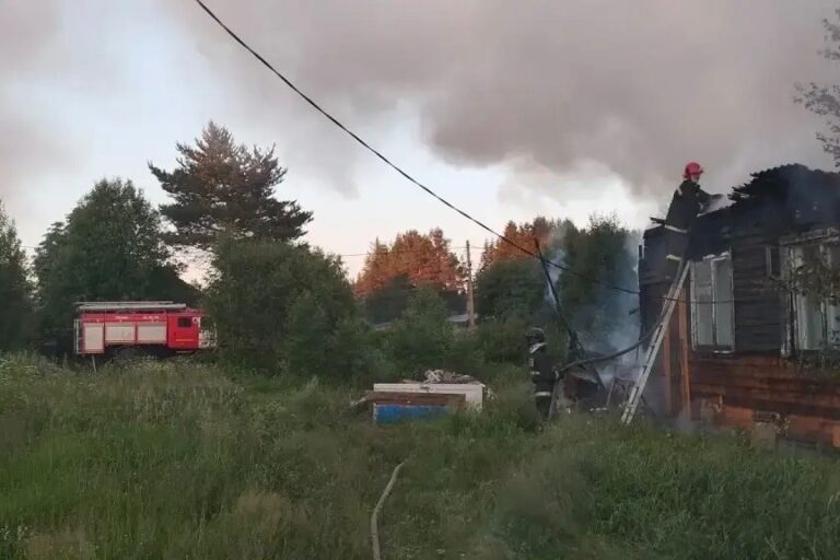 Фото: Госкомитет Карелии по безопасности