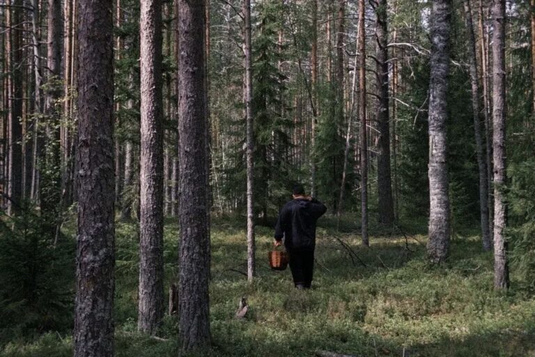 Сергей Жуков поделился впечатлениями от отдыха в Карелии