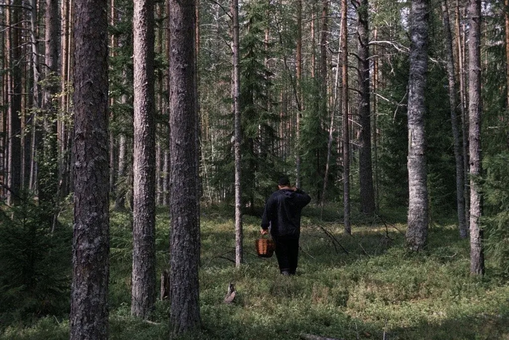 Сергей Жуков поделился впечатлениями от отдыха в Карелии
