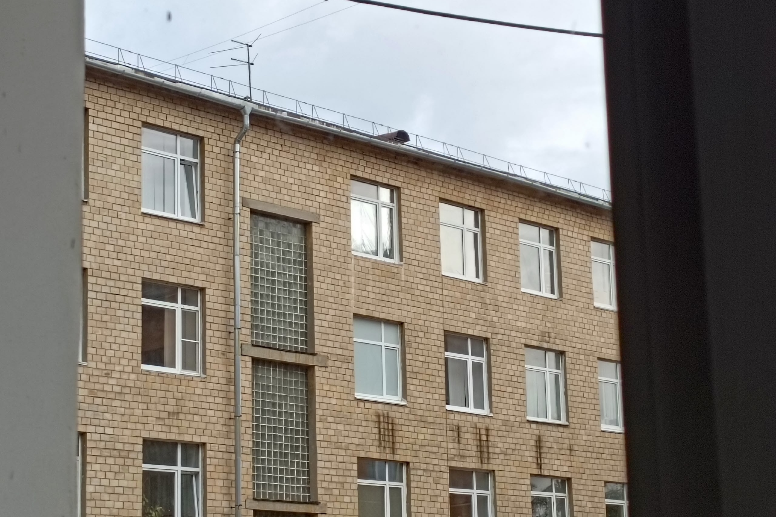 Почти 1,4 миллиона отдала незнакомцу жительница Петрозаводска