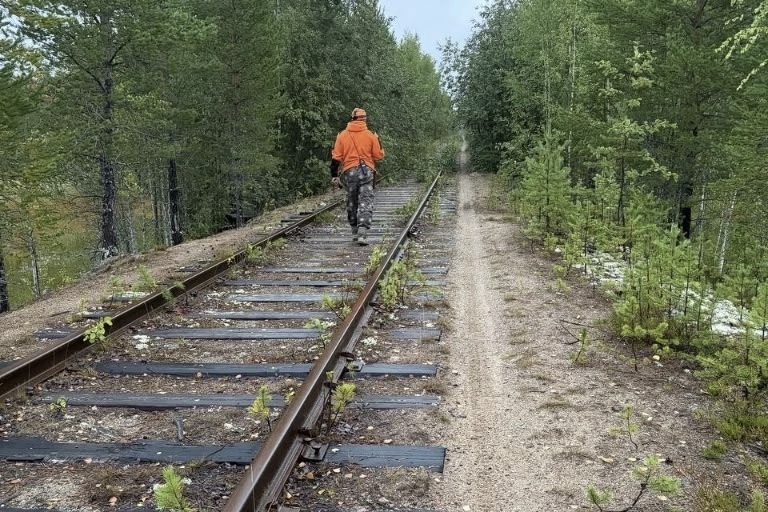 Волонтеры Карелии проехали более 100 километров, чтобы найти заблудившегося мужчину