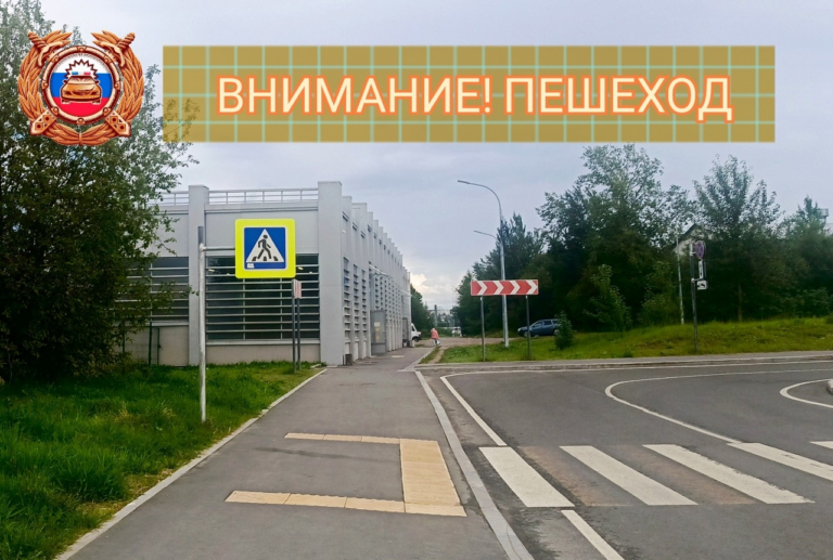 Инспектора Карелии будут внимательнее следить за безопасностью пешеходов
