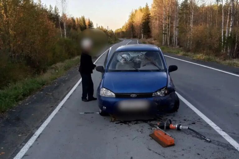 В Карелии 90-летний водитель пострадал в аварии