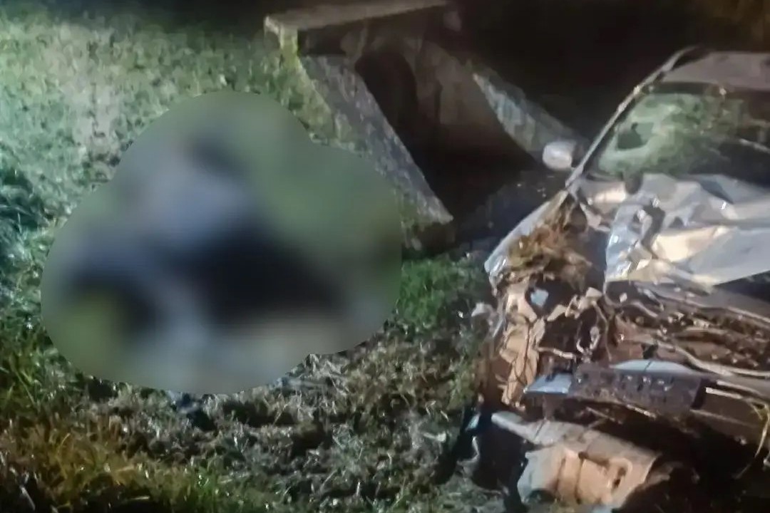 Еще одна авария с лосем произошла в Карелии