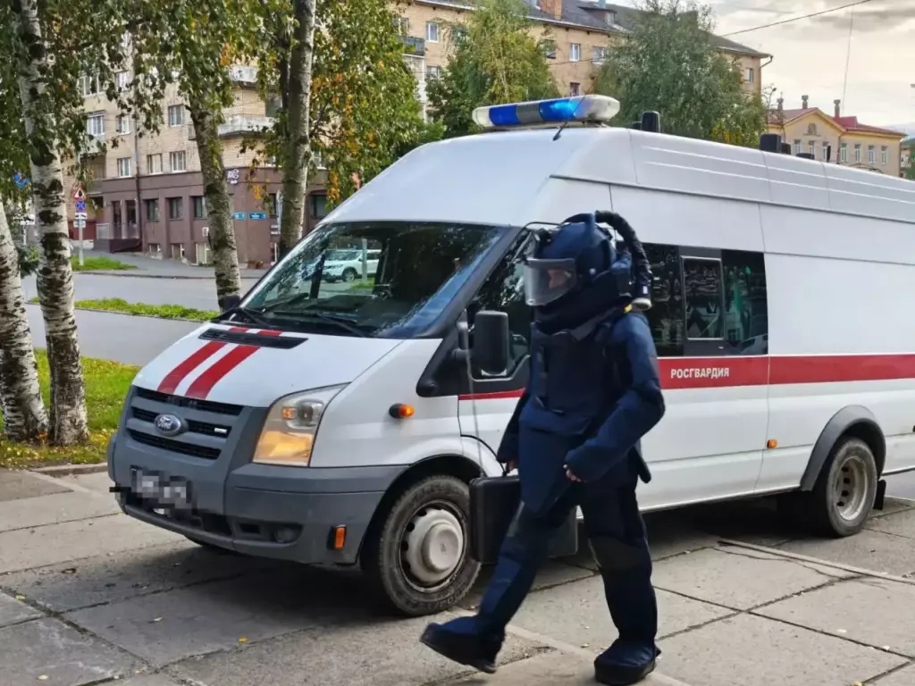 Безопасность на выборах в Карелии обеспечат правоохранительные органы