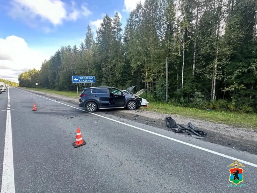 Появились кадры со смертельной аварии в Прионежском районе