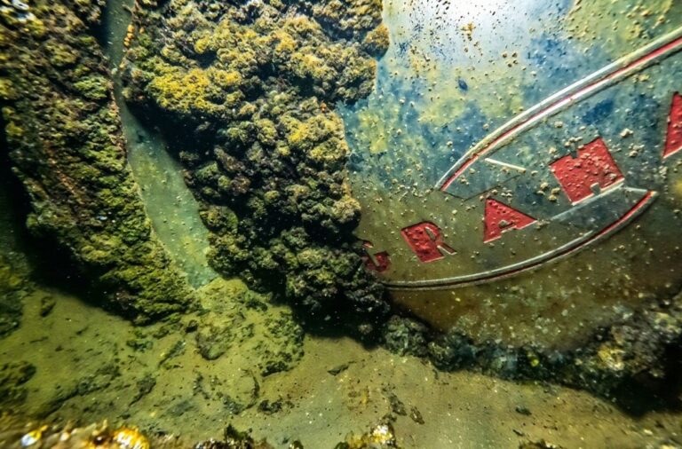 Фото подводного клуба «Диво»