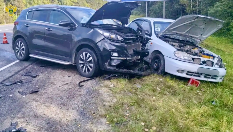 Появились кадры со смертельной аварии в Прионежском районе