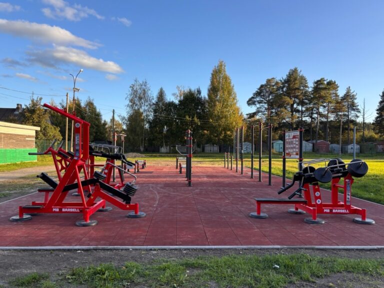 Спортивную площадку ГТО открыли в Лахденпохье