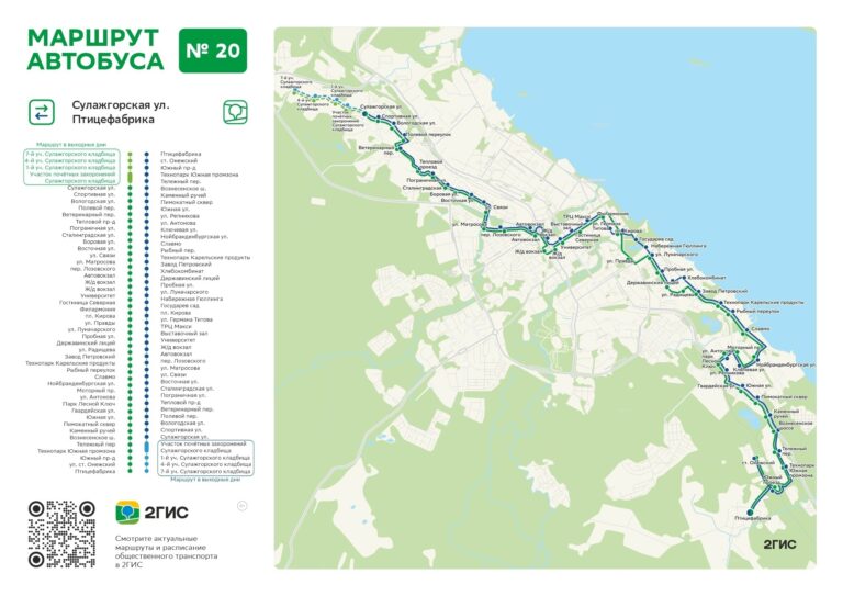 Фото: мэрия Петрозаводска/»ВК»