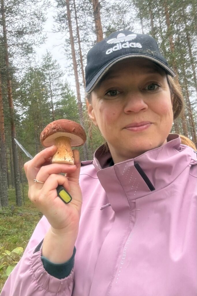 бывают ли в лесу грибы после выходных?