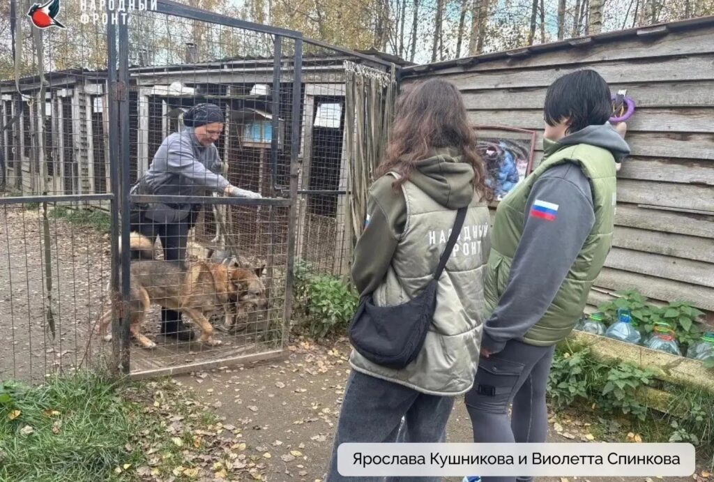 Глава Карелии поблагодарил Молодежку Народного фронта за работу